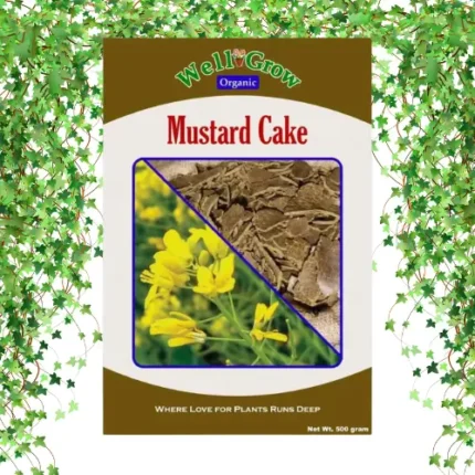 Mustard Cake img
